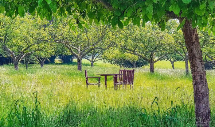 Stillness, "My spirit is here alone". Limited edition photographic art print