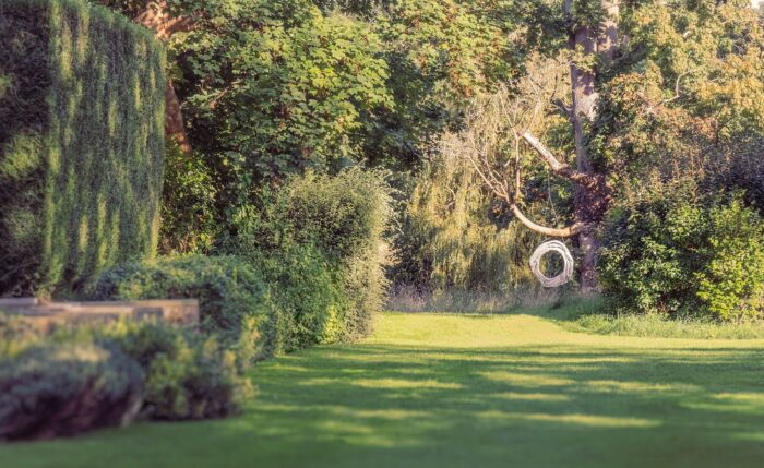 1 - David Begbie- Smoke Ring-Sculptures-Aug-2023-_0650-Edit copy